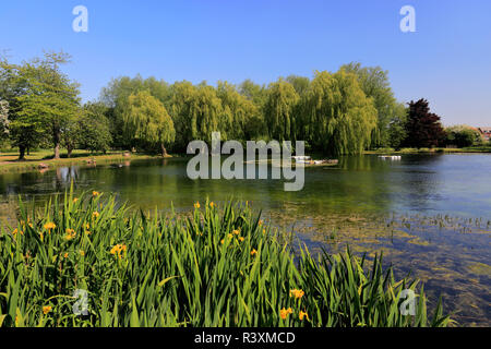 Das War Memorial Gardens, Bourne Eau, Bourne, Lincolnshire, England, Großbritannien Stockfoto