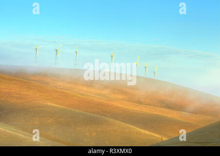 Altamont Pass Windpark, größte Konzentration von Windkraftanlagen in der Welt, in der Nähe von Livermore, Kalifornien, USA Stockfoto