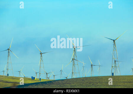 Altamont Pass Windpark, größte Konzentration von Windkraftanlagen in der Welt, in der Nähe von Livermore, Kalifornien, USA Stockfoto