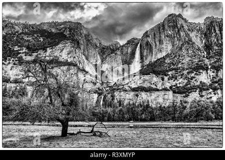 Die oberen und unteren Yosemite Falls von Köche Wiese gesehen. Ulme im Vordergrund. Schwarz und Weiß. Yosemite Nationalpark, Kalifornien. Stockfoto