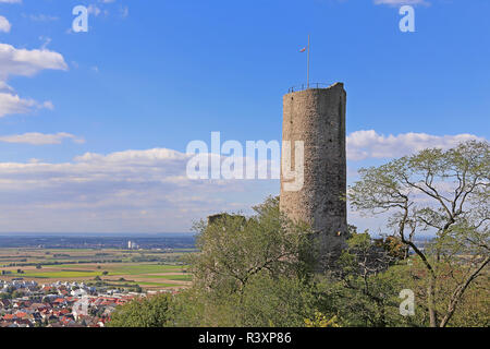 Auf der Suche nach strahlenburg über schriesheim im September 2015 Stockfoto