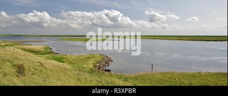 Oosterschelde-Nationalpark in der Nähe von Moriaanshoofd, Schouwen-Duiveland, Südholland Stockfoto