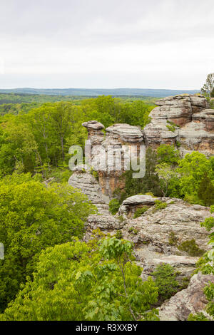 Camel Rock, der Garten der Götter Erholungsgebiet, Shawnee National Forest, Saline County, Illinois Stockfoto