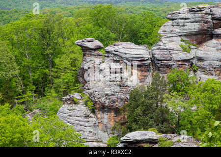 Camel Rock, der Garten der Götter Erholungsgebiet, Shawnee National Forest, Saline County, Illinois Stockfoto