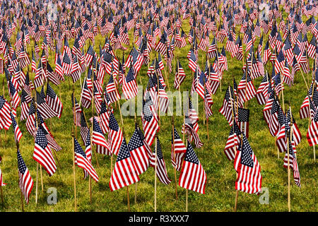 20 000 amerikanische Flaggen auf der großen Wiese, Louisville, Kentucky, Her von Juli Stockfoto