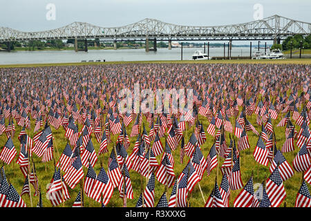 20 000 amerikanische Flaggen auf der großen Wiese, Louisville, Kentucky, Her von Juli Stockfoto