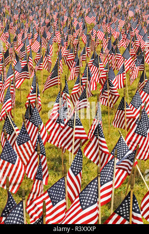 20 000 amerikanische Flaggen auf der großen Wiese, Louisville, Kentucky, Her von Juli Stockfoto