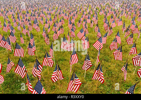 20 000 amerikanische Flaggen auf der großen Wiese, Louisville, Kentucky, Her von Juli Stockfoto