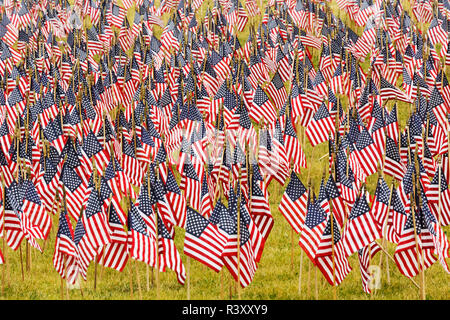 20 000 amerikanische Flaggen auf der großen Wiese, Louisville, Kentucky, Her von Juli Stockfoto