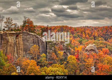 Herbstfarben und Haystack Rock, Red River Gorge, Kentucky Stockfoto