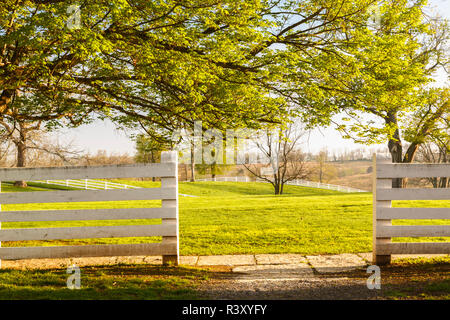 Am frühen Morgen, Shaker Village von Pleasant Hill, Harrodsburg, Kentucky Stockfoto