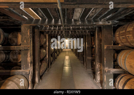 Barrel zimmer Lager, Buffalo Trace Distillery, Frankfort, Kentucky (Editorial nur verwenden) Stockfoto