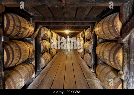 Barrel zimmer Lager, Buffalo Trace Distillery, Frankfort, Kentucky (Editorial nur verwenden) Stockfoto