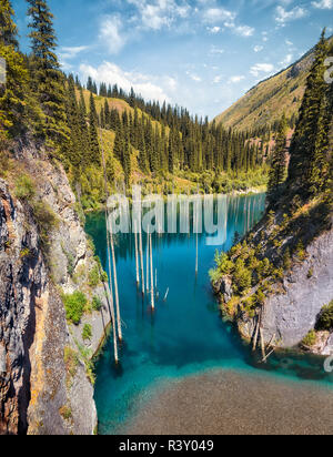 Kaindy See im Südosten von Kasachstan, im August 2018 genommen, hdr genommen Stockfoto