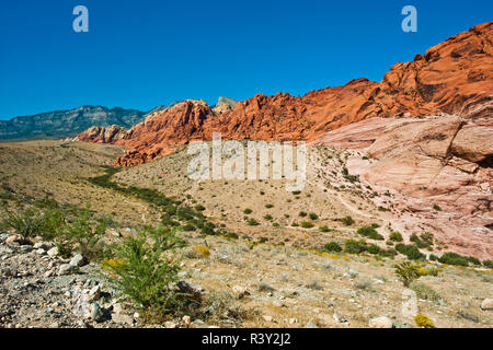 USA, Nevada, Las Vegas, Red Rock National Conservation Area, Calico Hills South übersehen Stockfoto