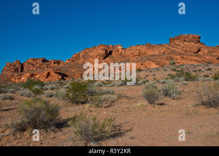 USA, Nevada. Mesquite. Gold Butte National Monument Stockfoto