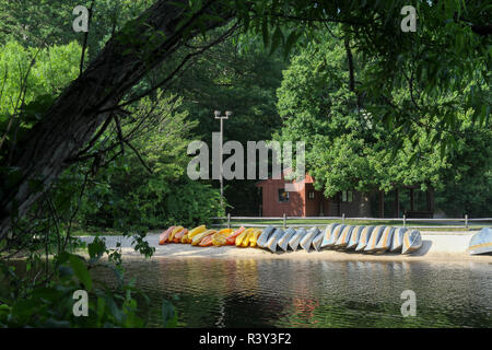Türkei Swamp Park, Freehold, New Jersey, USA Stockfoto