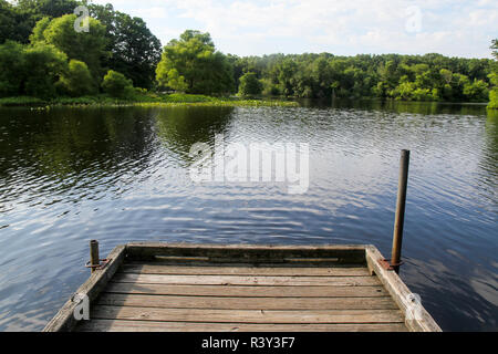 Türkei Swamp Park, Freehold, New Jersey, USA Stockfoto