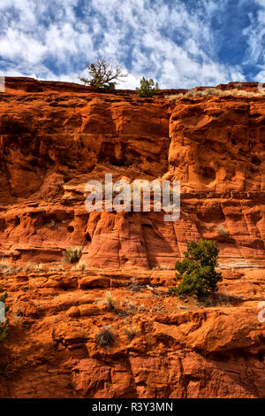 USA, New Mexiko. Jemez Gebirge Landschaft. Stockfoto
