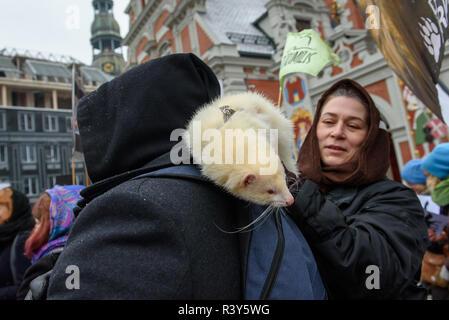 Riga, Lettland. 24. Nov 2018. Mann (L) Transport Der (Mustela putorius furo) auf seine Schulter, während 'March für Tiere" in Riga, Lettland Frettchen. Die größte Tierschutz Ereignis in der Geschichte Lettlands. Credit: gints Ivuskans/Alamy leben Nachrichten Stockfoto