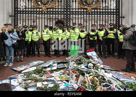London, Großbritannien. 24.11.2018: Hunderte von Klimawandel Aktivisten vor dem Aussterben Rebellion sammeln außerhalb der Buckingham Palace Teil einer laufenden Kampagne des zivilen Ungehorsams der Dringlichkeit der Maßnahmen gegen den Klimawandel zu markieren. Credit: Claire Doherty/Alamy leben Nachrichten Stockfoto