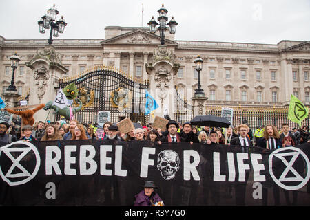London, Großbritannien, 24. November 2018 Klimawandel Aktivistinnen aus dem Aussterben Rebellion einer Gruppe während eines Klimawandels Protest außerhalb der Buckingham Palace. Credit: Thabo Jaiyesimi/Alamy leben Nachrichten Stockfoto