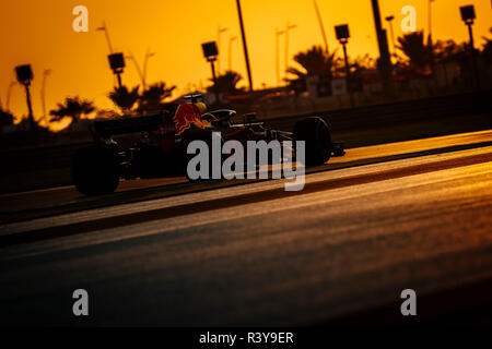 Abu Dhabi, VAE. 24. Nov 2018. Red Bull Racing niederländische Fahrer Max Verstappen konkurriert im Qualifying der Formel 1 Grand Prix von Abu Dhabi Yas Marina Circuit in Abu Dhabi, Vereinigte Arabische Emirate am 24. November 2018. Foto: Jure Makovec Credit: Jure Makovec/Alamy leben Nachrichten Stockfoto