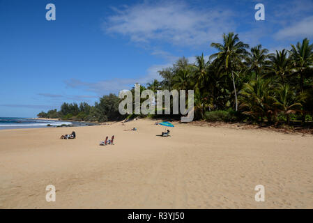 Sonnenanbeter auf Ha'ena State Park, Ke'e Beach am Northshore von Kauai, Hawaii Stockfoto