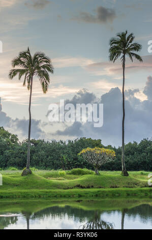 Hanalei Bay, Hawaii, Kauai, Kauikeolani Immobilien, Palmen, Wolken, Wiese, Teich Stockfoto