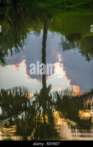 Hanalei Bay, Hawaii, Kauai, Kauikeolani Immobilien, Reflexion der Palmen Stockfoto