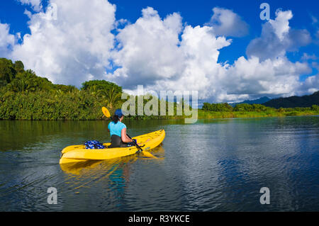 Frau Kajakfahren auf der Hanalei Fluss, Insel Kauai, Hawaii, USA (MR) Stockfoto