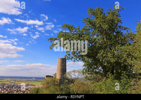 Strahlenburg auf dem Ölberg oberhalb Schriesheim im September 2015 Stockfoto