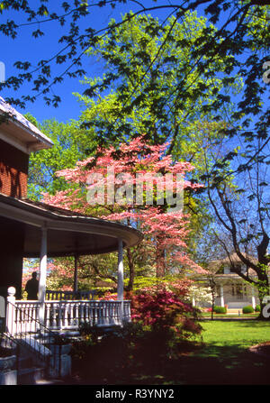 Historisches Haus mit blühenden Hartriegel Bäume im Vordergrund in Charleston, Missouri Stockfoto