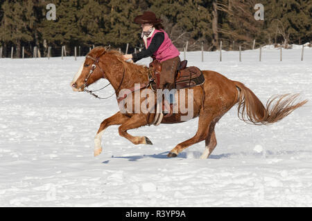 Junge cowgirl auf laufende Pferd im Schnee, Kalispell, Montana Stockfoto