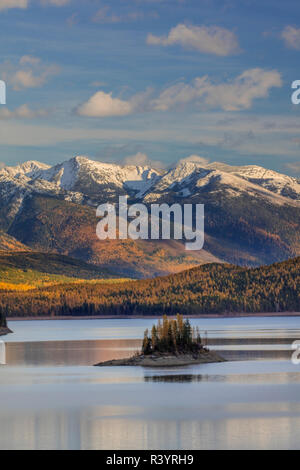 Puffy cumulus Wolken über Island und im Herbst tamarack Wald am Hungry Horse Behälter in der Flathead National Forest, Montana, USA Stockfoto