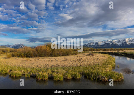 Elk Springs Creek in der Red Rocks National Wildlife Refuge, Montana, USA Stockfoto