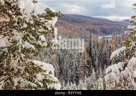 Frischer Schnee oben Hungry Horse Behälter in der Flathead National Forest, Montana, USA Stockfoto