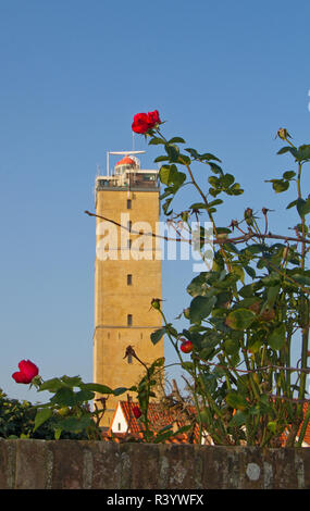 Rote Rosen im Garten, im Hintergrund der alten historischen Leuchtturm Brandaris Auf der holländischen Insel Terschelling im Wattenmeer Stockfoto