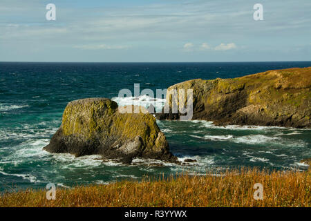 Sea Stacks, Surfen, Wellen, Yaquina Head hervorragenden natürlichen Bereich, Newport, Oregon, USA Stockfoto