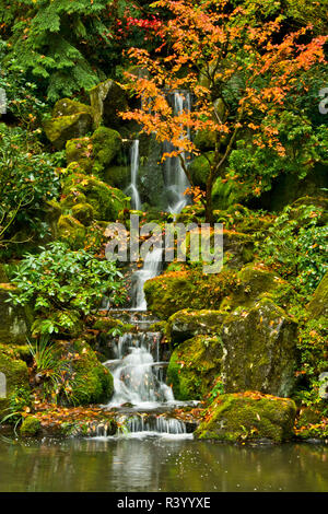 Spätherbst, Himmlischen fällt, Portland japanischer Garten, Portland, Oregon, USA Stockfoto