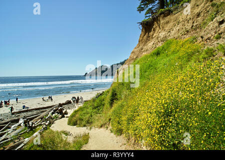 USA, Oregon. Smuggler Cove in Oswald West State Park Stockfoto