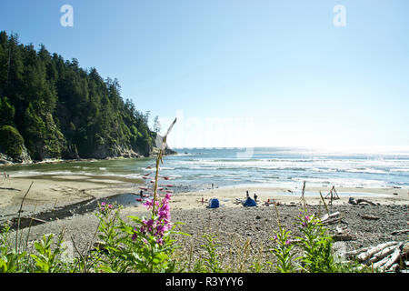 USA, Oregon. Smuggler Cove in Oswald West State Park Stockfoto