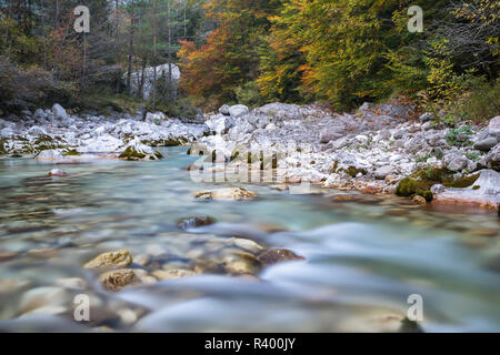 Fluss Koritnica im Herbst, Soca Tal, Nationalpark Triglav, Slowenien Stockfoto