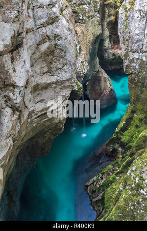 Fluss Soca fließt durch die enge Schlucht, Soca Tal, Triglav Nationalpark, Bovec, Slowenien Stockfoto