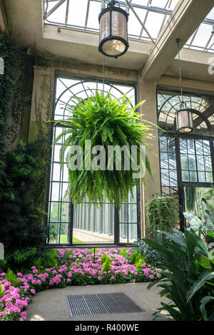 Wintergarten, Longwood Gardens, Kennett Square, Pennsylvania, USA Stockfoto