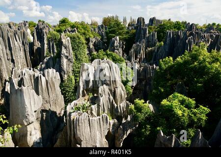Ein Blick auf die Stone Forest im Süden Chinas Stockfoto