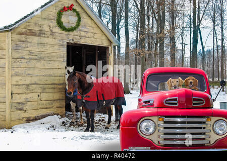 Rot retro Pickup Truck und Pferden durch die ländlichen Scheune im Winter mit Weihnachten Kranz Stockfoto