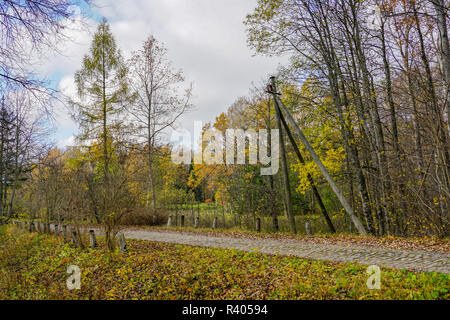 Eine alte gepflasterte Straße, mit gelbem Laub im Herbst abgedeckt Stockfoto