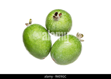 Feijoa frisches Obst auf weißem Hintergrund. Acca sellowiana. Tropische Früchte Stockfoto
