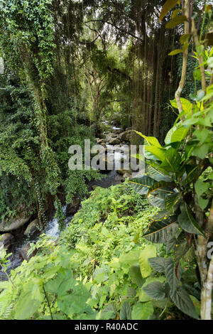 Flusslandschaft im Tempel Gunung Kawi Stockfoto